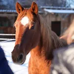 Daire Red Horse Ranch Eichstätt