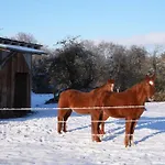 Daire Red Horse Ranch
