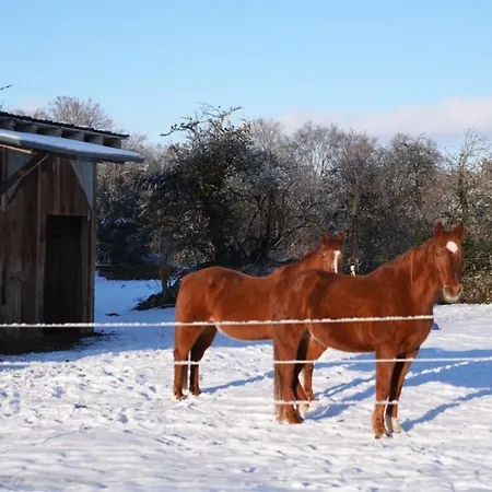 アパート Red Horse Ranch