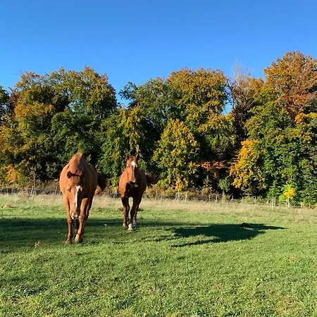 Lägenhet Red Horse Ranch *