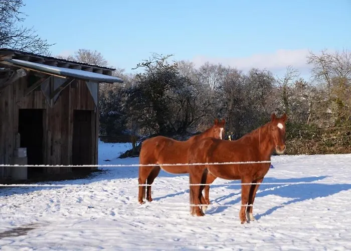Lägenhet Red Horse Ranch
