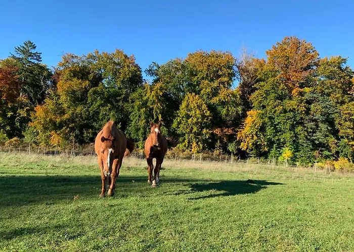 Lägenhet Red Horse Ranch *